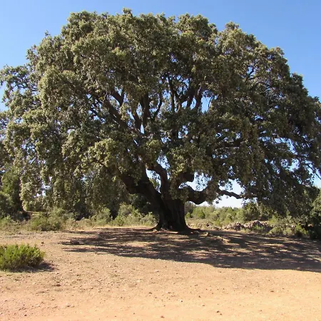 Apartment El Capricho Del Burgo El Burgo De Osma